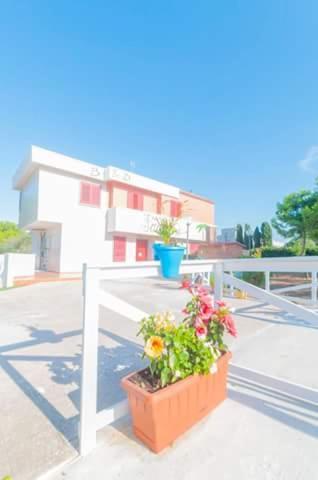 Paradise Beb Giovinazzo Exterior photo