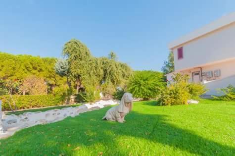 Paradise Beb Bed & Breakfast Giovinazzo Exterior photo